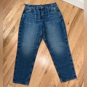 LIKE NEW American Eagle Curvy Mom Jean Size 16 Regular
